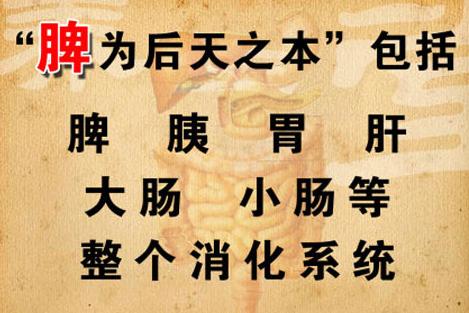减肥要减对了,艾灸补脾才是减肥关键