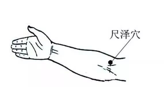 肺俞