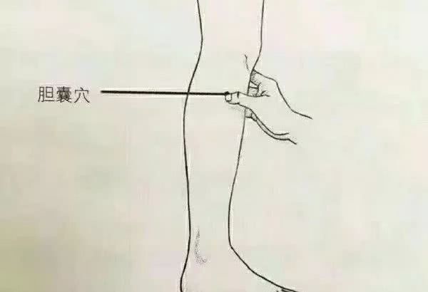 胆囊穴