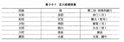 经脉根结