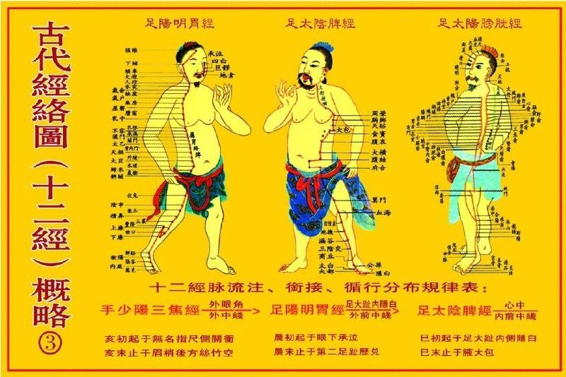 中篇第一章:经络的根结、标本与气街、四海