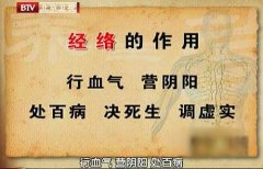 中篇第一章:经络的作用及其应用