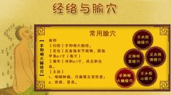 中篇第一章中医基础理论:腧穴总论
