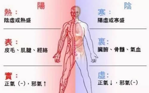 八纲