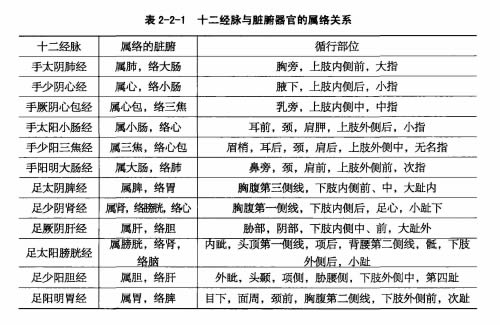 十二经脉