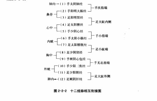 十二经脉的交接规律