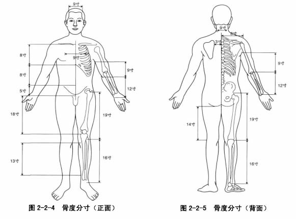 中篇第一章中医基础理论:腧穴定位方法