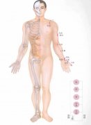 中篇第一章中医基础理论:经络腧穴各论