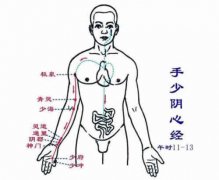 中篇第一章:经络腧穴各论手少阴心经