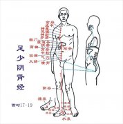 中篇第一章:经络腧穴各论足少阴肾经