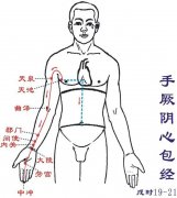 中篇第一章:经络腧穴各论手厥阴心包经