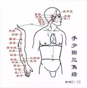中篇第一章:经络腧穴各论手少阻三焦经