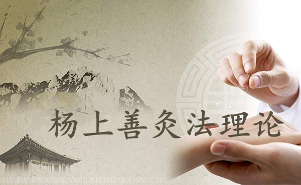 杨上善灸法理论