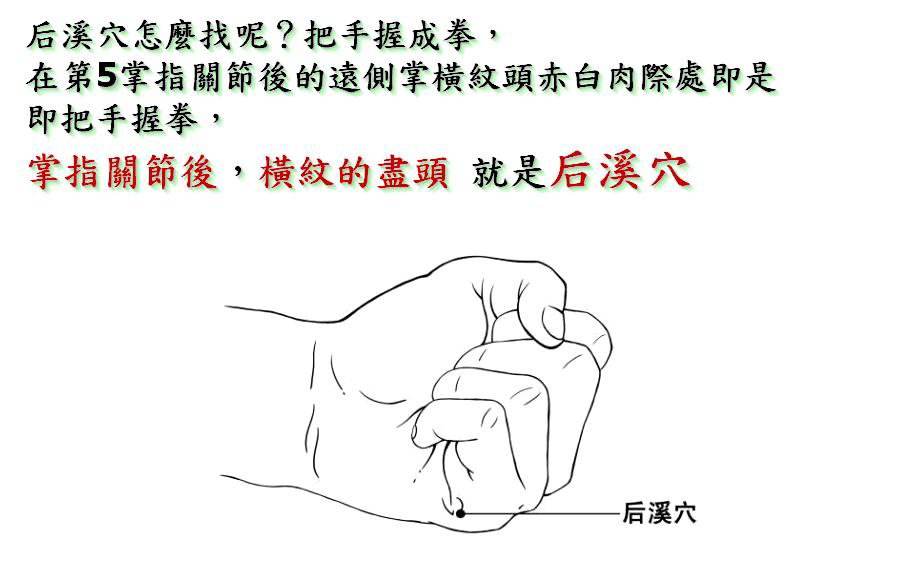 后溪穴
