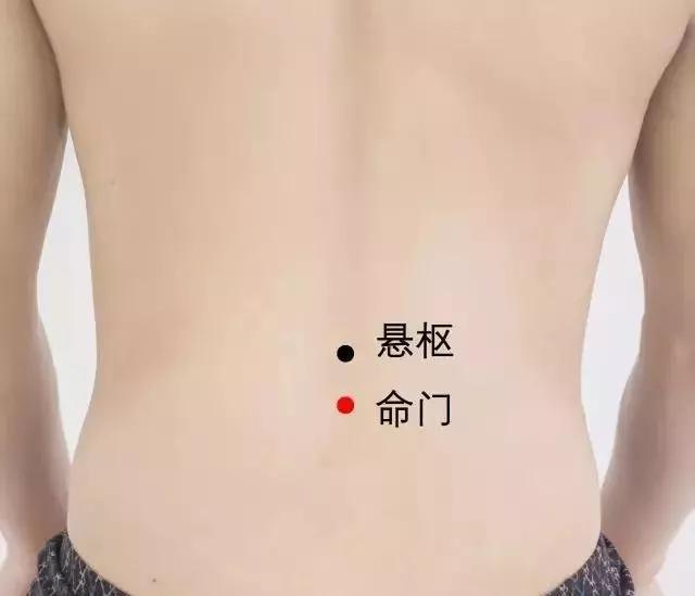 命门穴