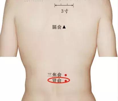肾腧穴