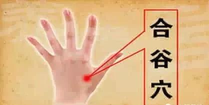 合谷穴