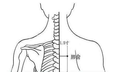 肺俞穴