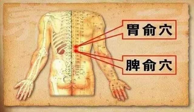 脾俞