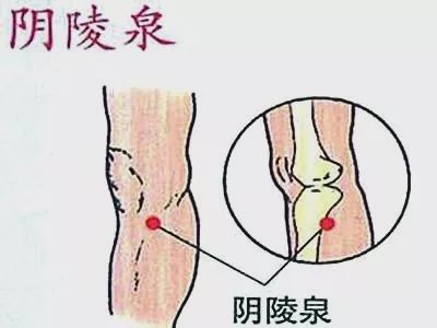 阴陵泉