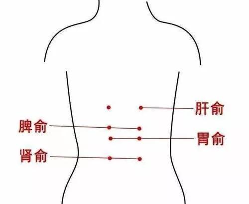 肝俞