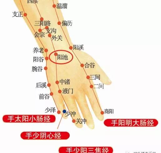 阳池穴