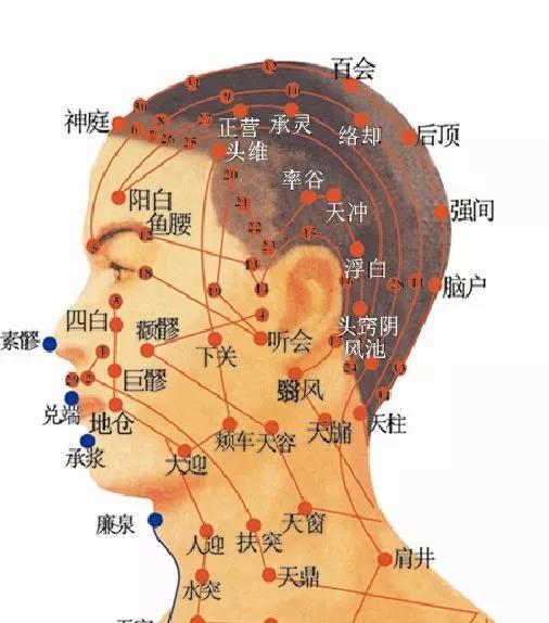 三焦经