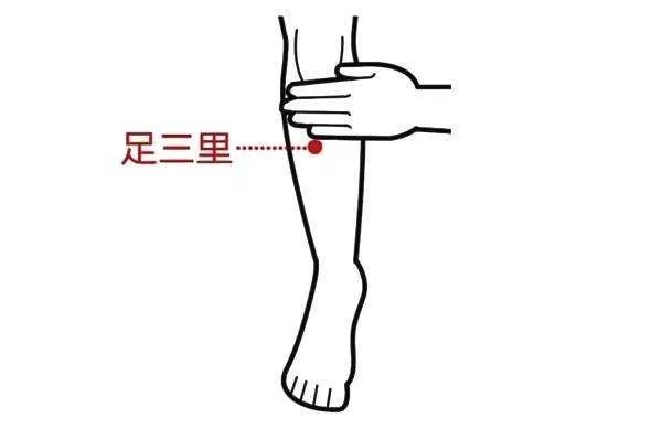 艾灸足三里穴