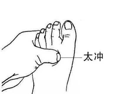 太冲穴