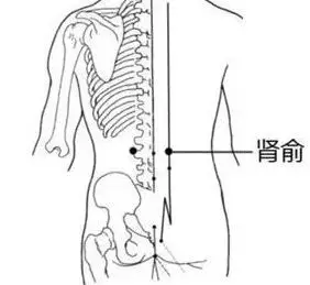 肾俞穴