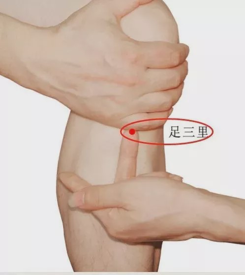 足三里穴