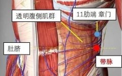 程凯:针对新冠肺炎的艾灸防护方案