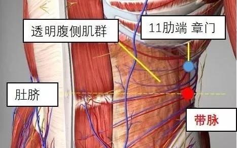 章门穴