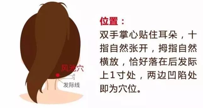 风池穴