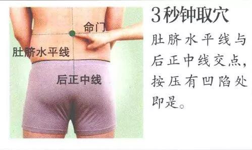 命门穴
