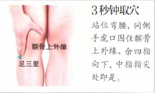 足三里穴