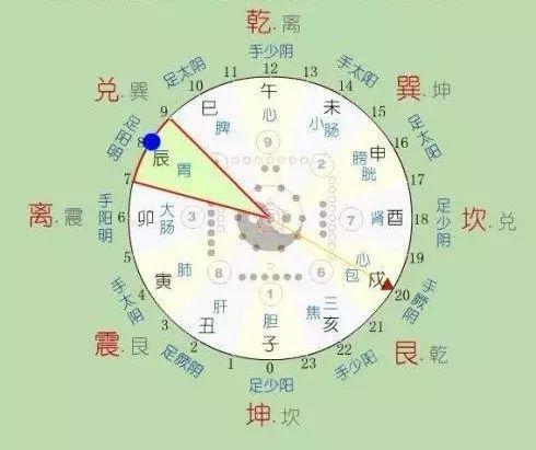 十二经络气血流注