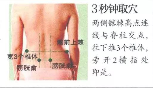 膀胱俞