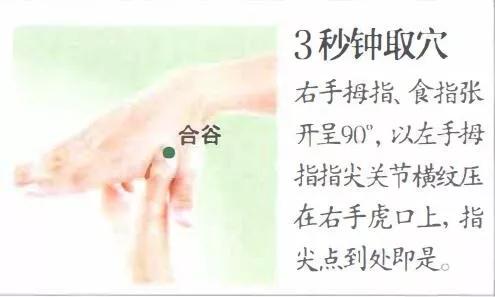 合谷穴