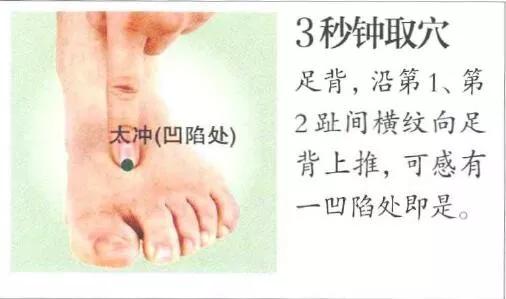 太冲穴