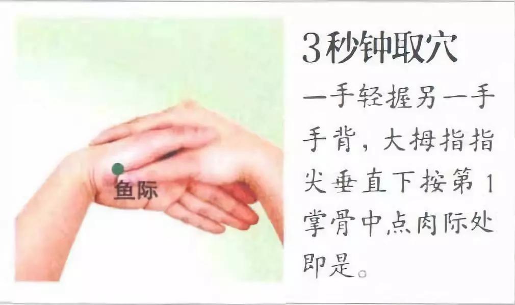 鱼际穴