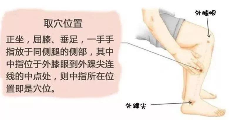 丰隆穴