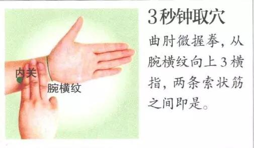 内关穴