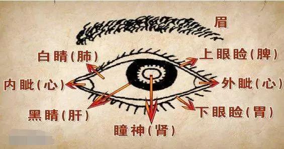 五轮学说