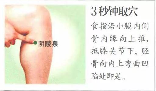 阴陵泉