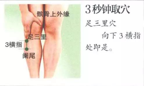阑尾穴