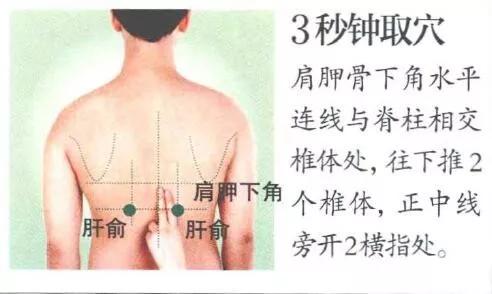 肝俞穴