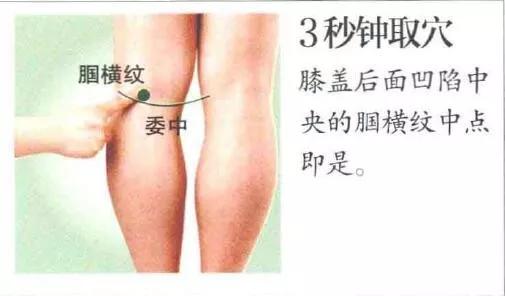 委中穴