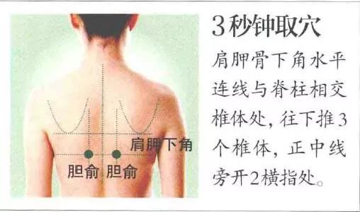 胆俞穴