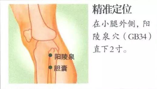 胆石穴
